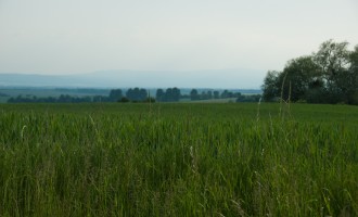 Harz im Abenddunst