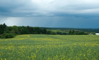 Hochplateau zwischen Hayn und Schwenda