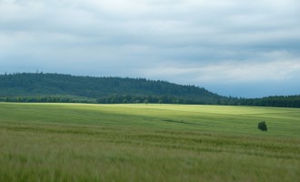 Blick zum Josefskreuz am Gr. Auerberg