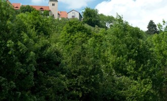 Klosterkirche Zscheiplitz - sehr alt!