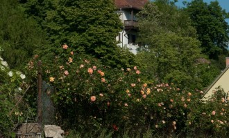 hier hätte auch Thomas Mann gerne sommergefrischelt!
