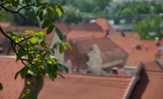 Am Aufstieg zur Burg Ptujski Grad