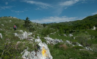 auf der Hochebene