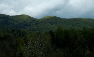 Wald soweit das Auge reicht, hinter Predmeja