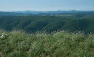 Blick in den Karst im Süden