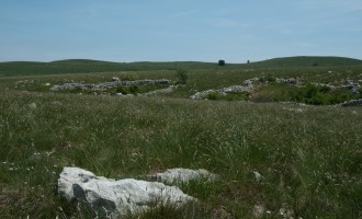 am Plateau des Lipnik