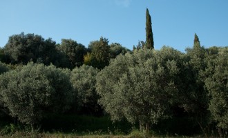 Slowenien mediterran bei Secovlje