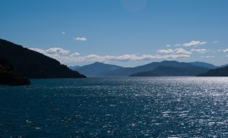 tief im Queen Charlotte Sound - Picton erreichen wir in Kürze