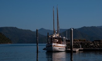 Idylle am Picton Harbour in aller Herrgottsfrühe