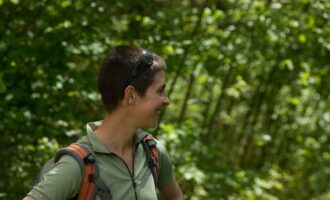 beinevertreten abseits der drau