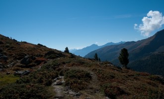 Blick talauswärts über Preiselbeersträucher - sie stärken unseren Aufstieg