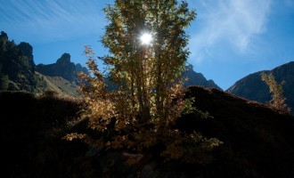 letzte Vegetation vor dem Obstanser See-Anstieg