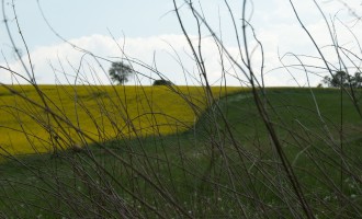 rast bei hedemünden