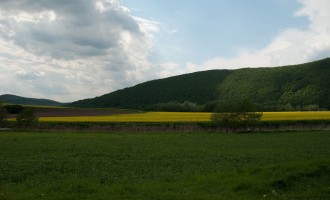 später nachmittag über lindewerra's rapsfeldern
