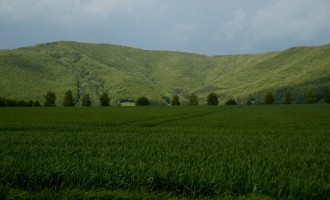 neuseelandstimmung bei wahlhausen