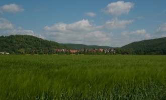 samtige kornfelder bei frieda